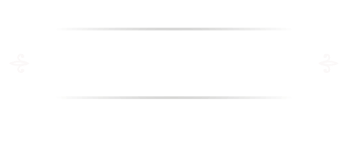 Steus Store
